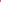 Cabana | Women's Long Zip-Up Hoodie | Fuchsia