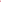Malawi | Women's Fitted Swim Jacket with Full Zip | Flamingo Pink
