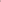 Color_Sunkist Coral Shell Dream