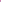 Perissa | Women’s Aire Tapered Pants | Fuchsia