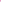 Perissa | Women’s Aire Tapered Pants | Fuchsia