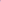 Color_Tulip Pink