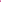 Acropora | Women's Tankini with Scallop Detail | Fuchsia Bouquet